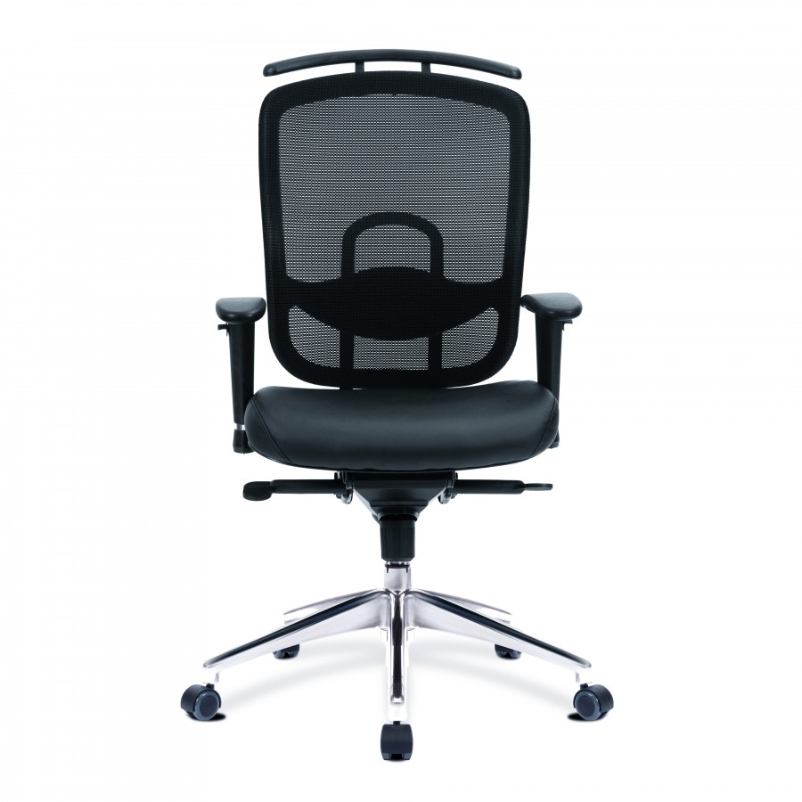 Freedom Mesh Ergonomic Office Chair